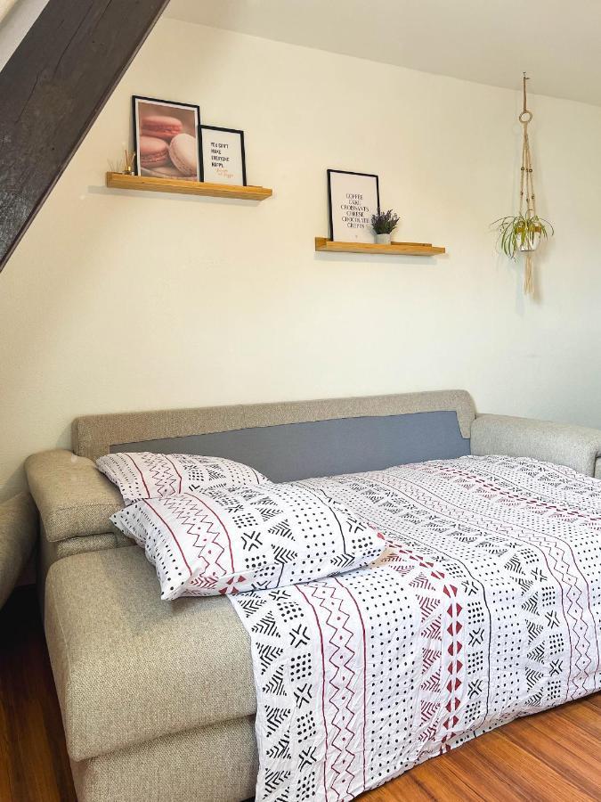 Appart'Hotel Le Dornach - Proche Gare Et Autoroute Miluza Zewnętrze zdjęcie