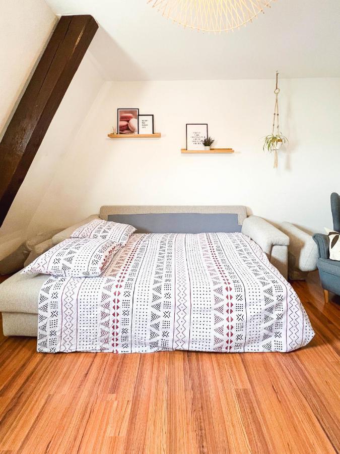 Appart'Hotel Le Dornach - Proche Gare Et Autoroute Miluza Zewnętrze zdjęcie