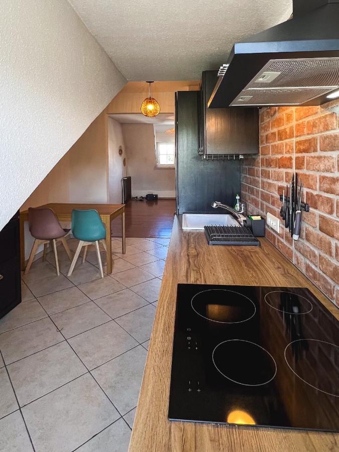 Appart'Hotel Le Dornach - Proche Gare Et Autoroute Miluza Zewnętrze zdjęcie